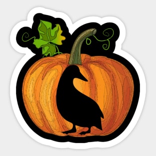 Duck in pumpkin Sticker